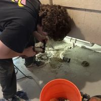 All Star Maintenance ico