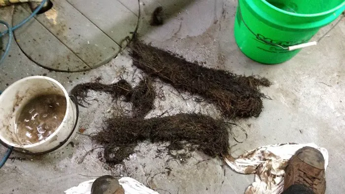 Bulldog Sewer & Drain, LLC Picture 2