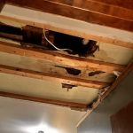 Pure Plumbing LLC