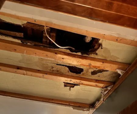Pure Plumbing LLC