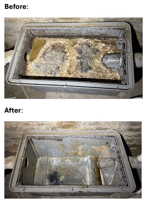 Exnil Grease Picture 6