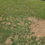 2M Plumbing and Piping