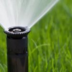 Backflow Prevention Services