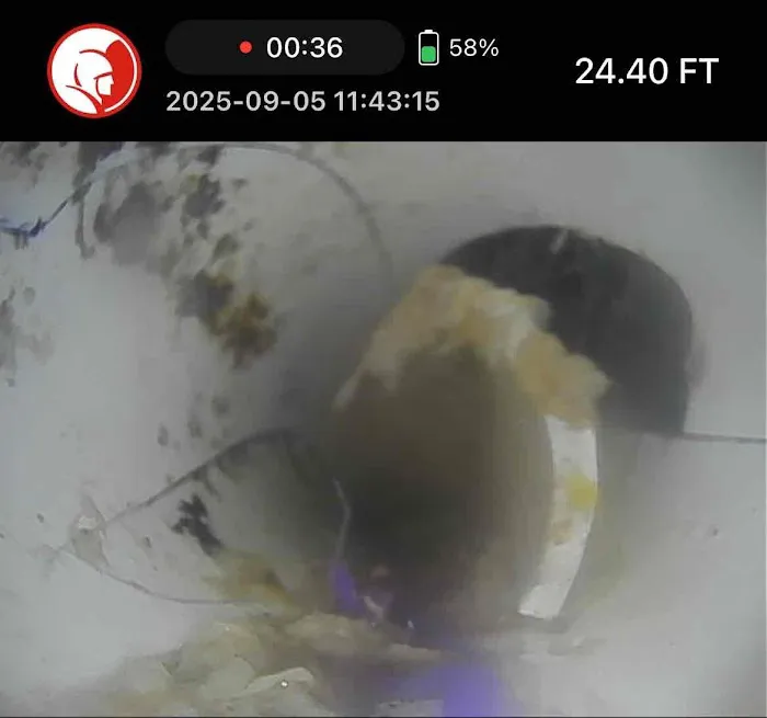Zoom Drain Picture 5
