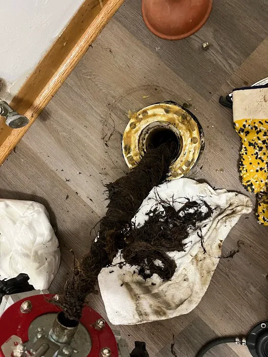 Zoom Drain Picture 4