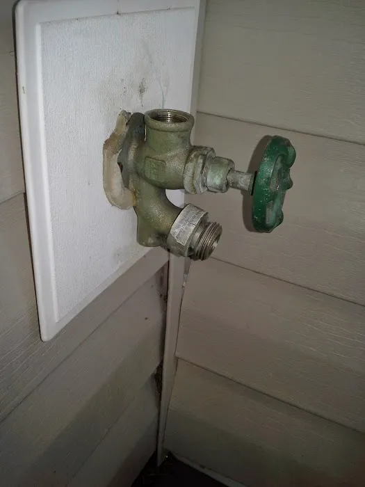 Roy's Rooter Picture 3