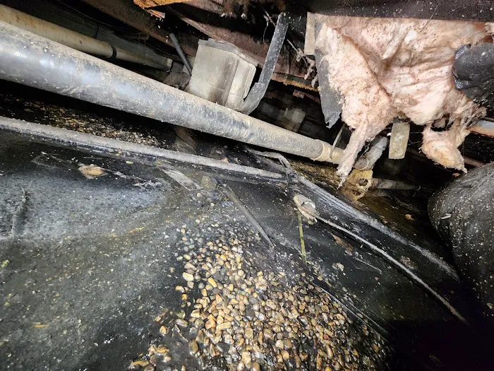Force Plumbing Services of Lancaster Picture 10