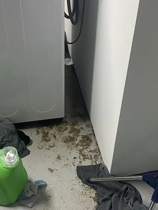 Roto-Rooter Plumbing & Water Cleanup Picture 5