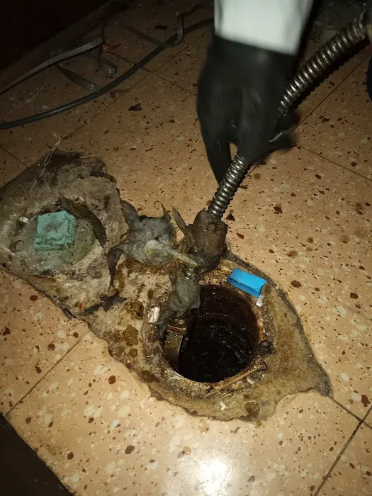 Drain Solutions of Michigan LLC Picture 8