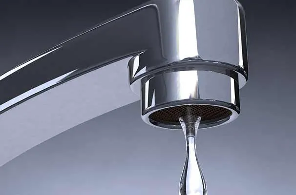 Mango Plumbing & Sewer Service Picture 4