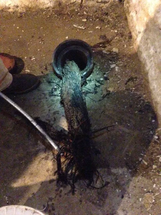 Wooster Drain Cleaning Picture 6
