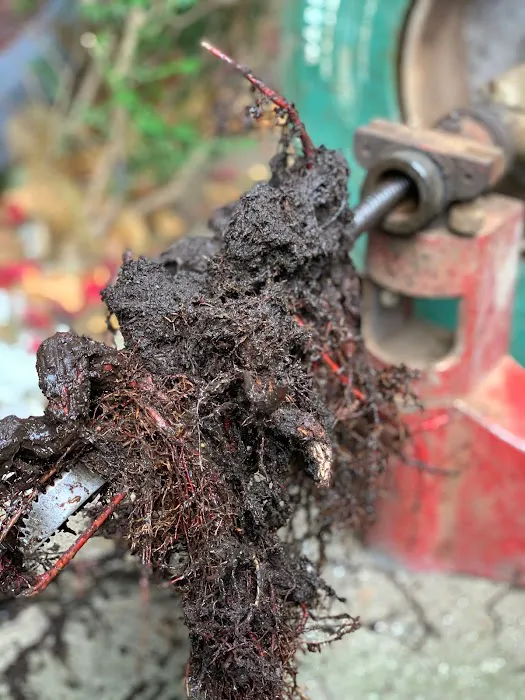 Wooster Drain Cleaning Picture 2