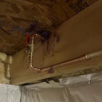 Oceanus Plumbing & Drain ico