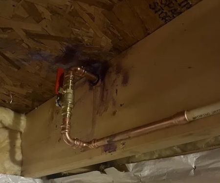 Oceanus Plumbing & Drain