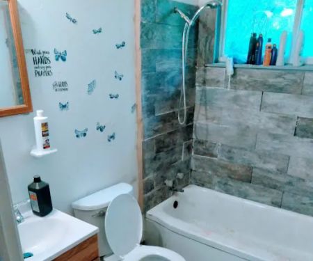TS professional plumbing service