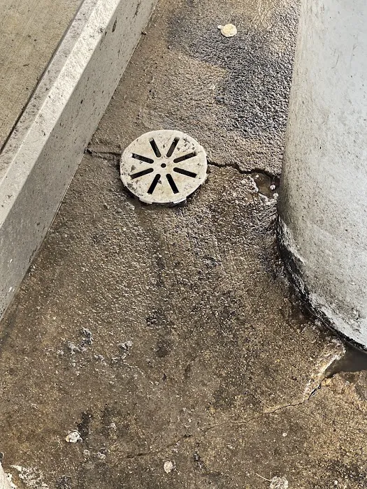 Main Drain Sewer & Repair Picture 9