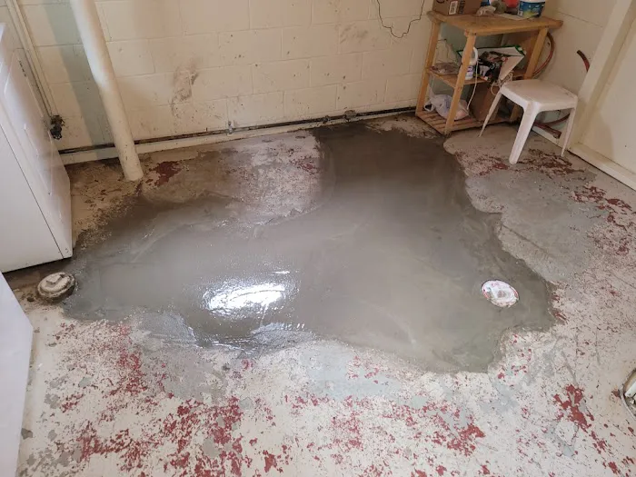 Maximum Flush Sewer and Drain Picture 4