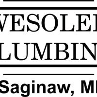 Wesolek Plumbing ico