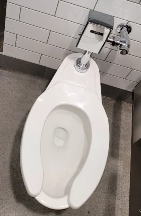 Maximum Flush Sewer and Drain Picture 4