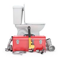 Maximum Flush Sewer and Drain ico