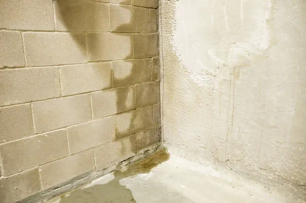 Reliable Basement and Drain Picture 10