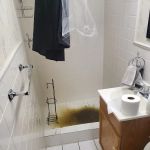 Royal Oak Plumbing Co