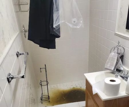 Royal Oak Plumbing Co