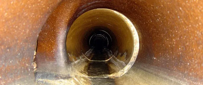 All Drainz Picture 2
