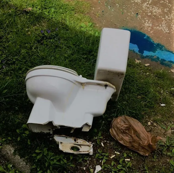 Pro N Stall Picture 8