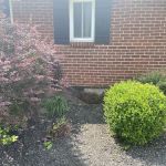 Berea Plumbing