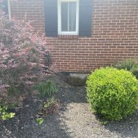 Berea Plumbing ico