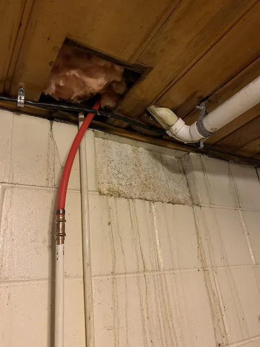 Mr. Rooter Plumbing of Traverse City Picture 9