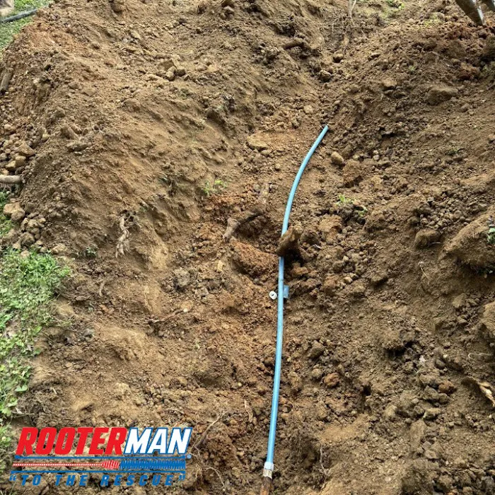 Rooter-Man Picture 3