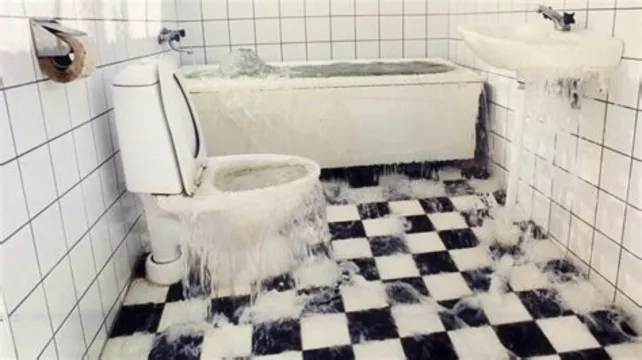 Five Guys Plumbing Clinton Township Picture 1