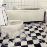 Five Guys Plumbing Clinton Township