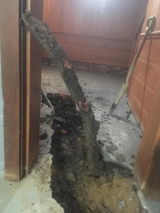 A-Z Plumbing & Drain Service, Inc. Picture 1