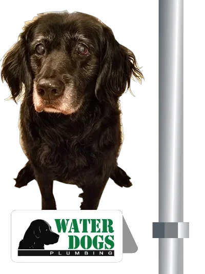 Waterdogs Plumbing Picture 5