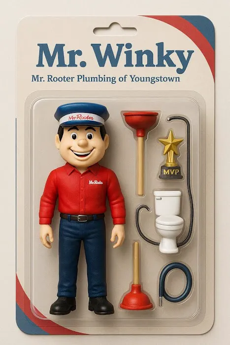 Mr. Rooter Plumbing of Youngstown Picture 7