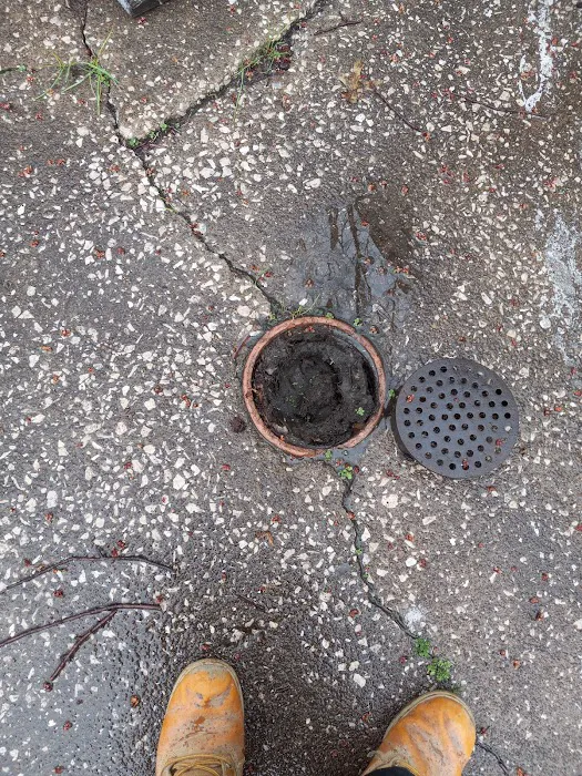 Drains and Things Picture 6