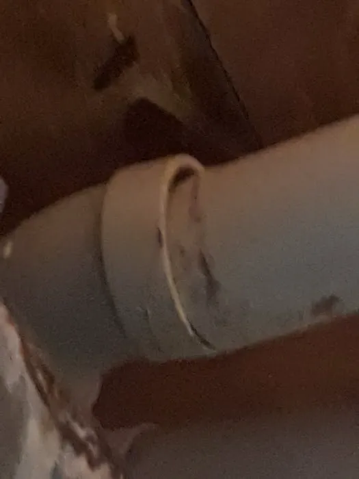 A+ SEWER SCREENING & CLEANING Picture 3