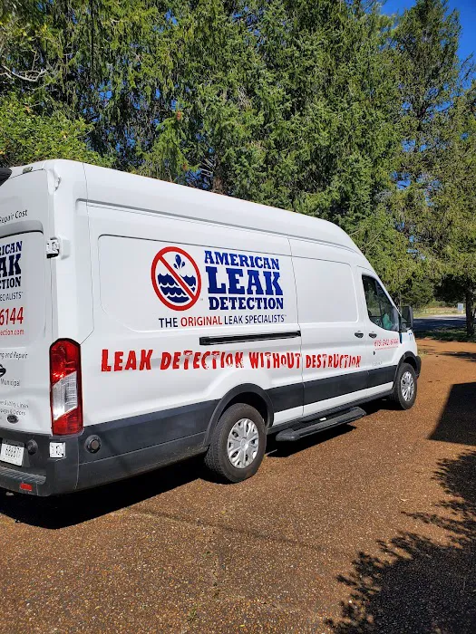 American Leak Detection Of Nashville Picture 1