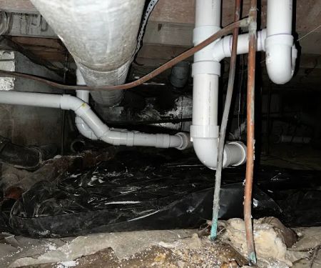 Tennesseeu2019s Choice Plumbing