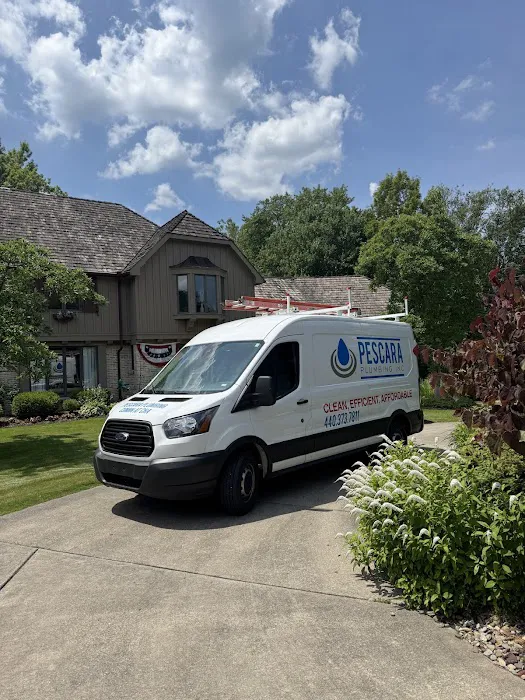 Pescara Plumbing, Inc. Picture 9