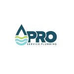 Pro Service Plumbing, LLC