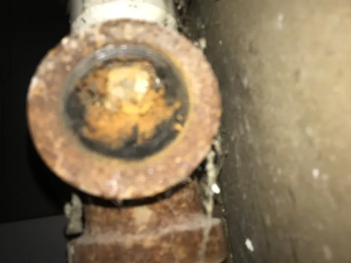 Drain Rite Instant Service Picture 5