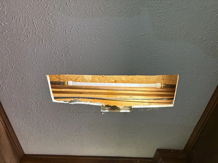 Delaney Electrical & Plumbing Services LLC Picture 2