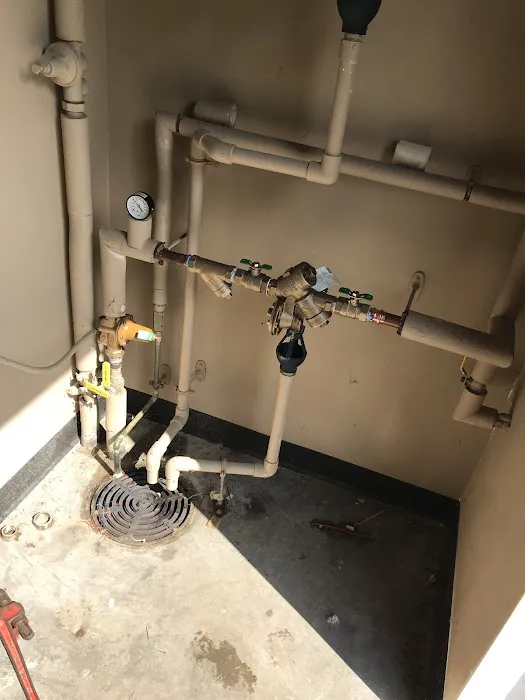 Real Deal Solutions, LLC Picture 5