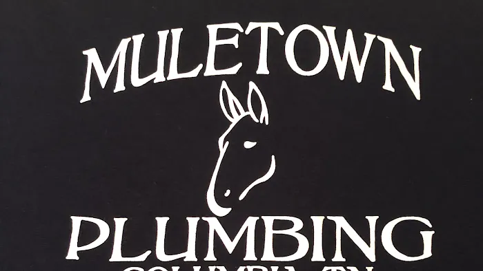 Muletown Plumbing Service Picture 2
