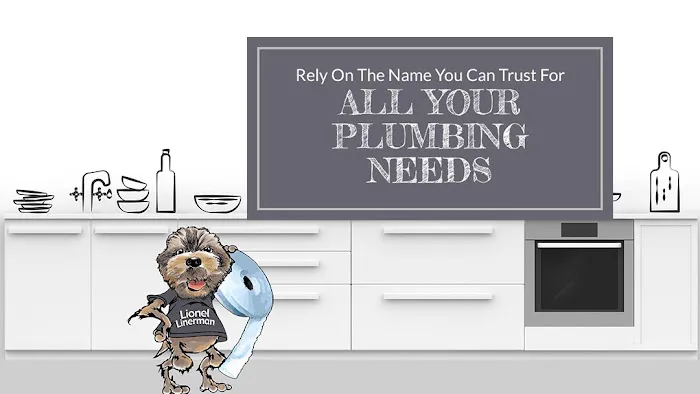 Matt Mertz Plumbing, Inc. Picture 8