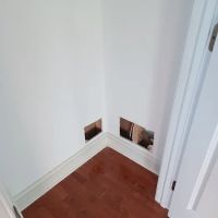 Nussbaumer Plumbing ico